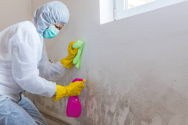 Best Forensic Mold Investigation  in Diamond Bar, CA